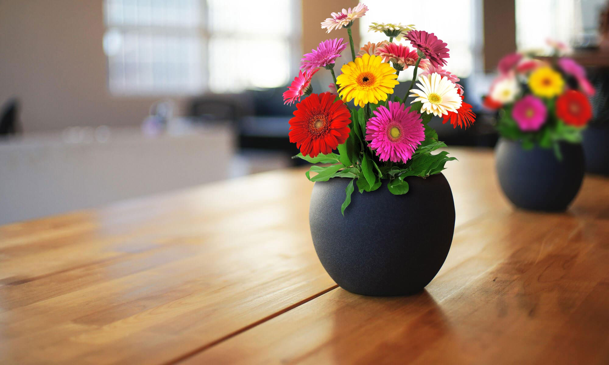 Welcome to Kings Road Veterinary Surgery