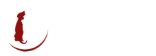 Welcome to Kings Road Veterinary Surgery
